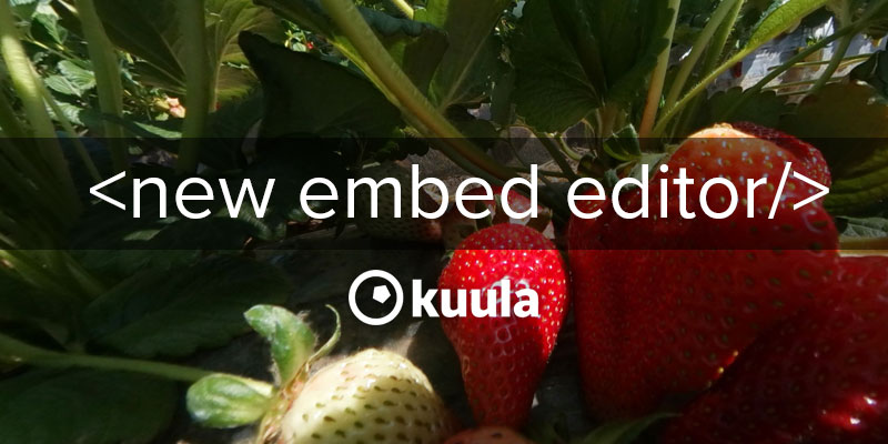 Kuula Embed Editor